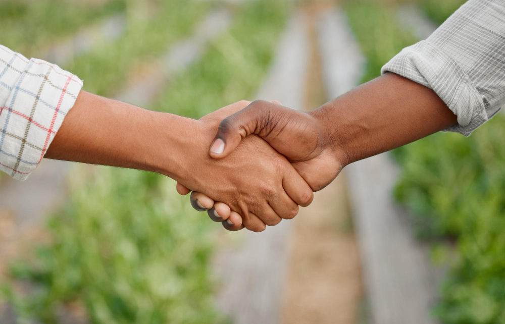 People Shaking Hands